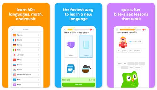 Duolingo دولینگو
