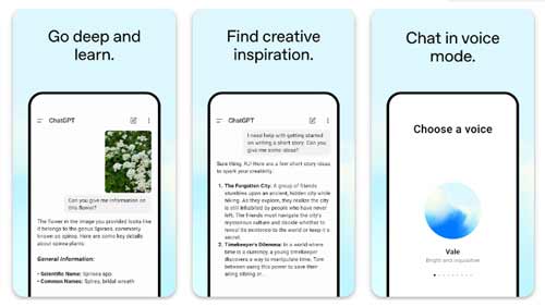 ChatGPT (OpenAI) (چت جی بی تی )