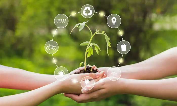 علوم محیط زیست و پایداری
